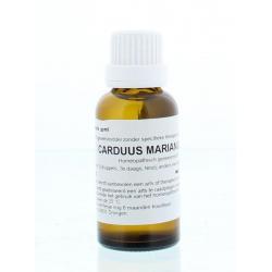 Carduus marianus D6