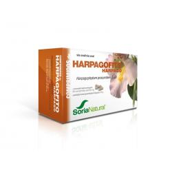 Harpagophytum 24-S